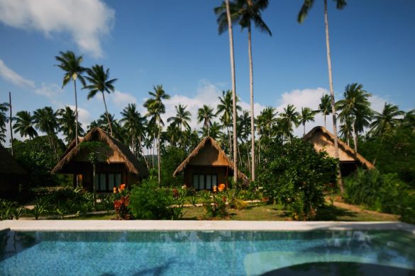 Qi Palawan